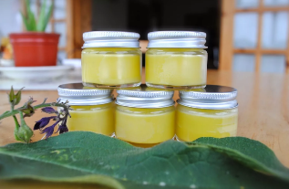 Sopa de mel e eucalipto